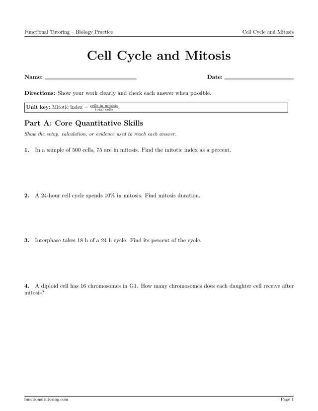 Preview of the Cell Cycle and Mitosis worksheet