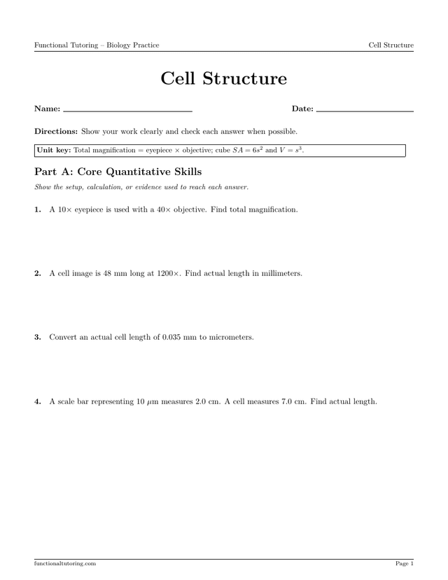Preview of the Cell Structure worksheet