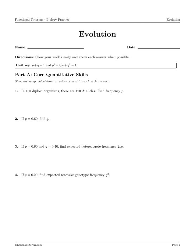 Preview of the Evolution worksheet