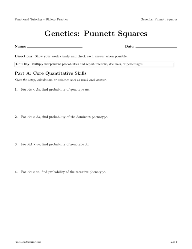 Preview of the Genetics: Punnett Squares worksheet