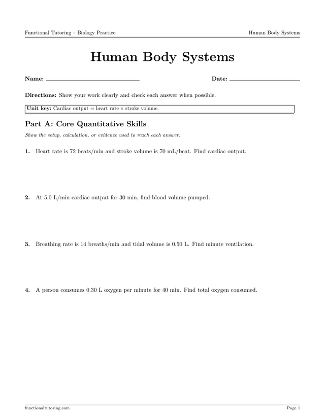 Preview of the Human Body Systems worksheet