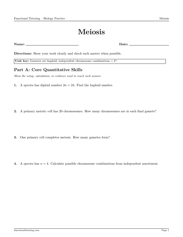 Preview of the Meiosis worksheet