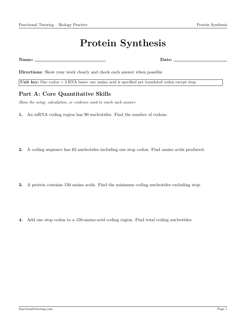 First-page preview of the Protein Synthesis worksheet