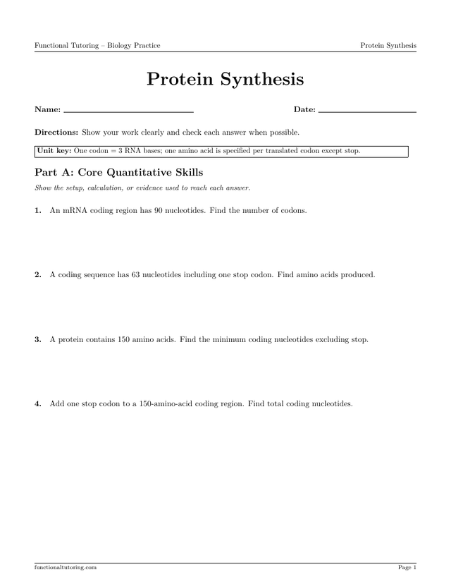 Preview of the Protein Synthesis worksheet